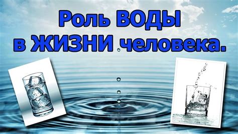 Роль воды в идеальной консистенции