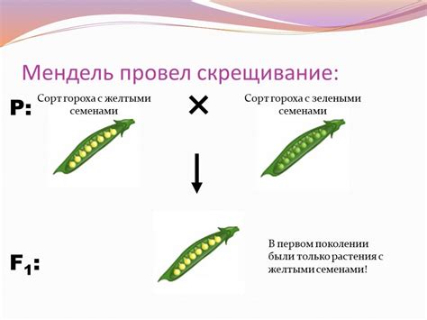 Роль генетики и селекции