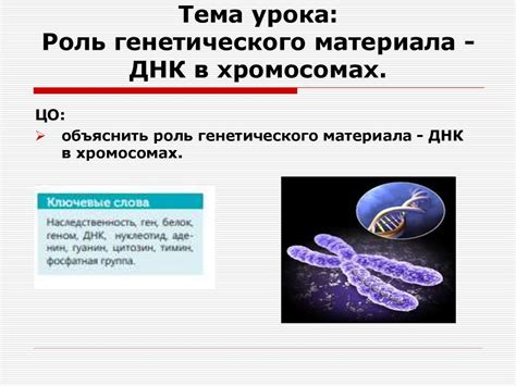 Роль генетического фактора