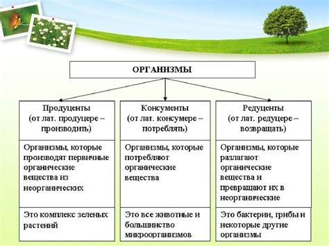 Роль групп и сообществ
