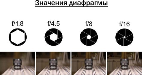 Роль диафрагмы в фотографии