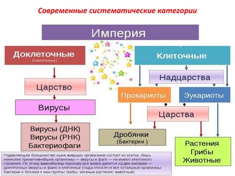 Роль классификации в биологии