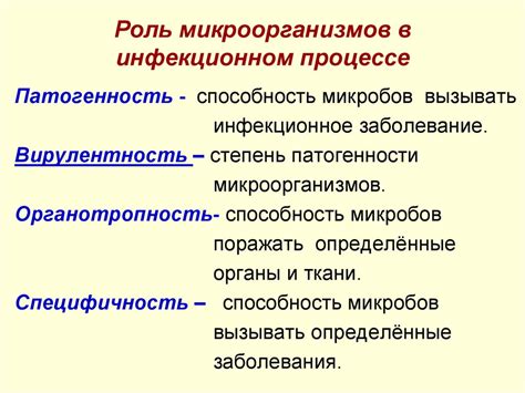 Роль микроорганизмов в процессе квашения