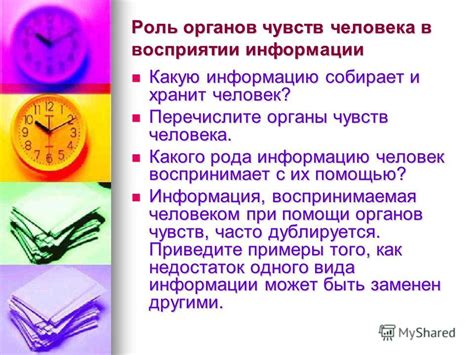 Роль опыта в восприятии информации