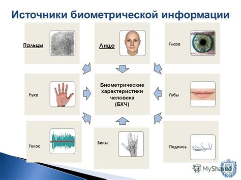 Роль паспортных данных в идентификации личности