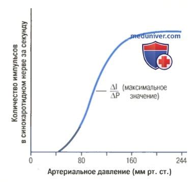 Роль питания в уровне артериального давления