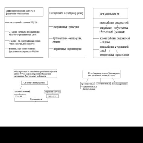 Роль рефлексов и реакции в жизни человека