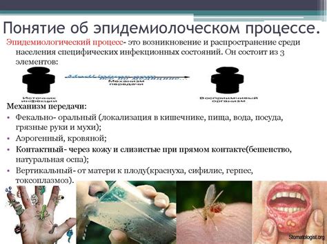 Роль ротавируса в развитии эпидемий