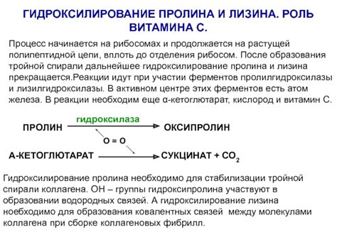 Роль связей в стабилизации пептидов