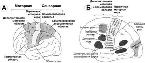 Роль сейфов и зон в истории