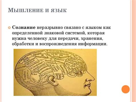 Роль сознания в функционировании человека