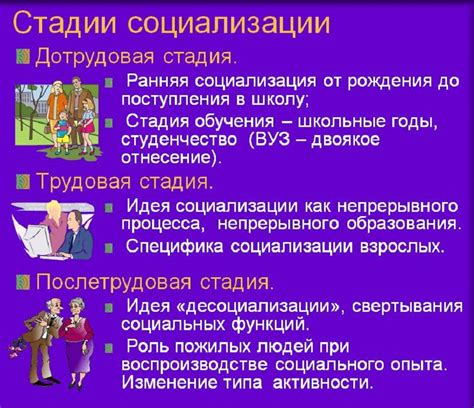 Роль социализации в формировании поведения котенка