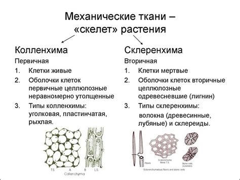 Роль строения тканей в технических материалах