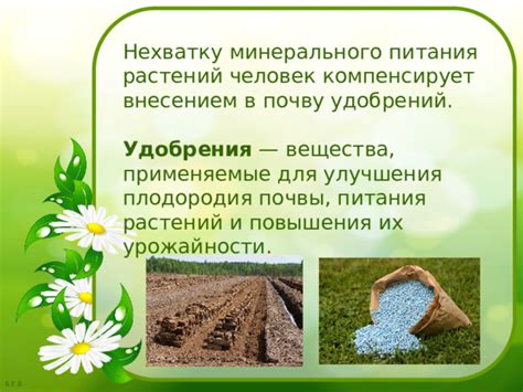 Роль удобрений в повышении урожайности растений