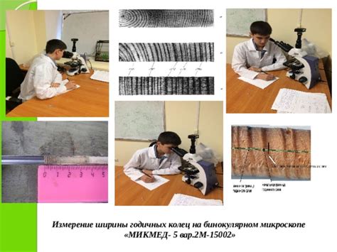 Роль хищников и болезней в формировании ширины годичных колец