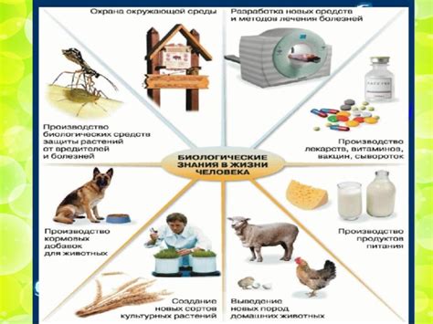 Роль человека в современном мире млекопитающих