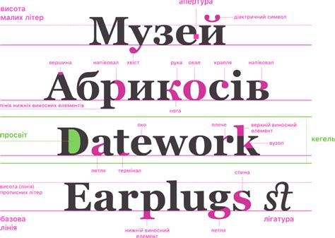 Роль шрифта в веб-разработке