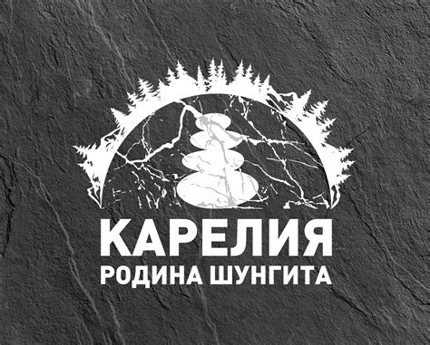 Роль шунгита в современном мире