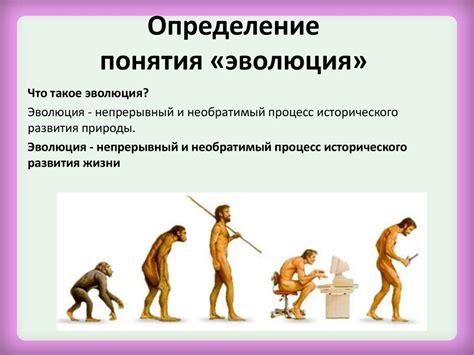 Роль яркой окраски в эволюции
