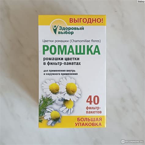 Ромашка при простуде: эффективное лечение дома