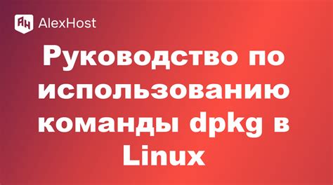 Руководство по использованию команды /effect