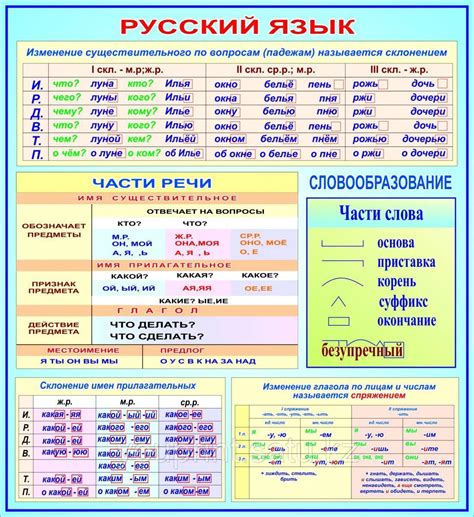 Русский язык и его правила