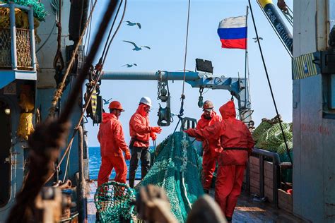 Рыбный промысел в морях России