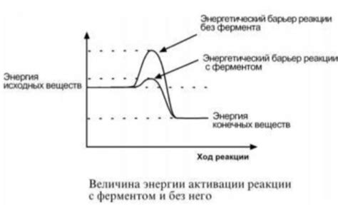 Самозащита и энергетический барьер: