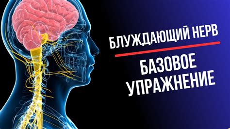 Самостоятельные способы стимуляции блуждающего нерва