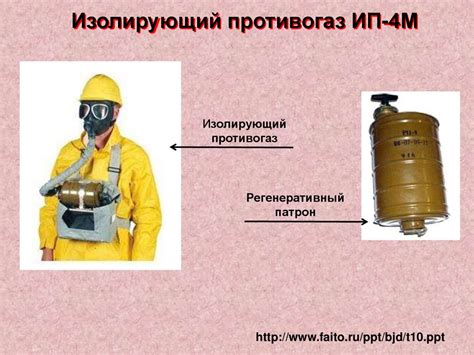 Санитарная обрезка, уничтожение сорняков, использование средств защиты