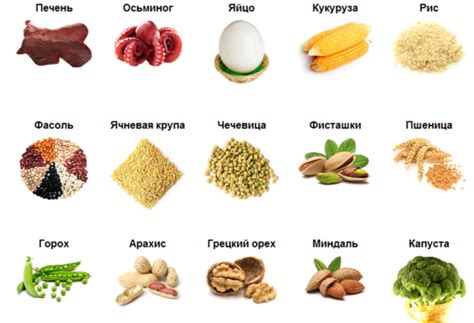 Сбалансированное питание и норма щитовидной железы