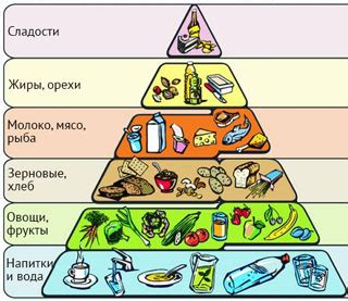 Сбалансированный рацион