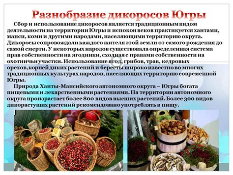 Сбор и использование