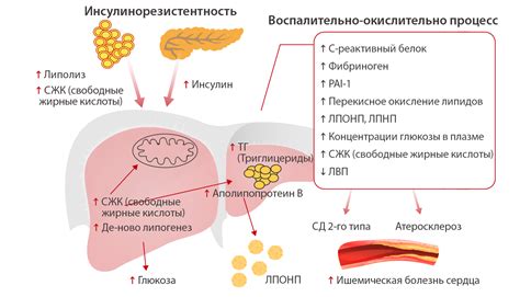 Связь между похудением и контролем сахарного диабета