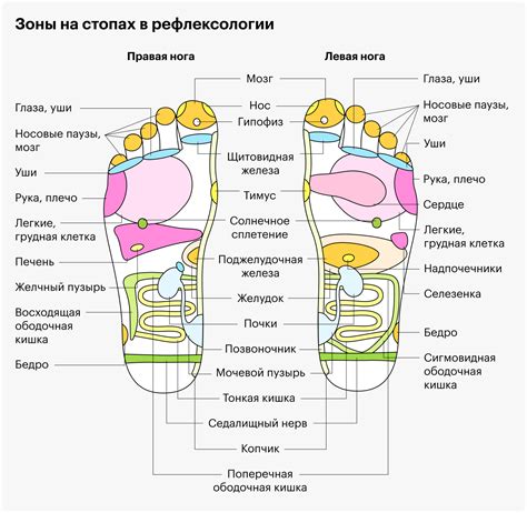 Связь с рефлексологией