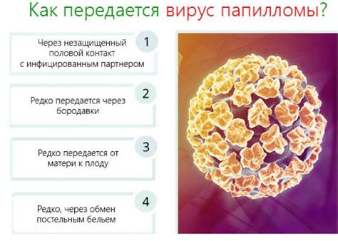 Сдача крови на ВПЧ