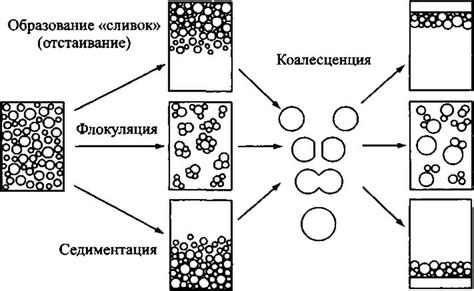 Седиментация