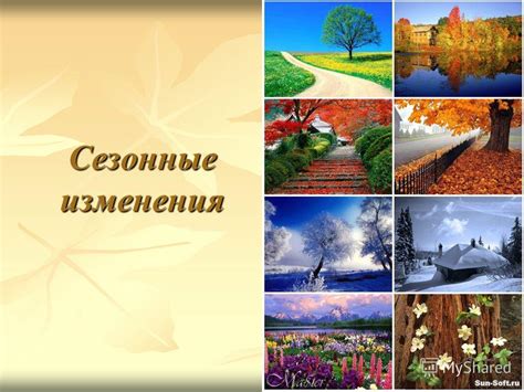 Сезонные изменения в системе оплаты