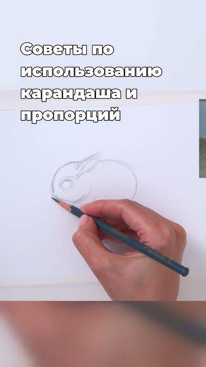 Секреты выравнивания пропорций