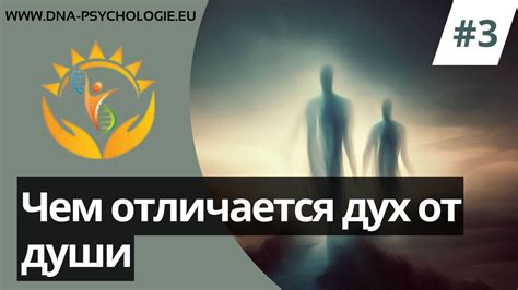 Секреты глубокого взаимодействия и раскрытия тайн своего мужчины