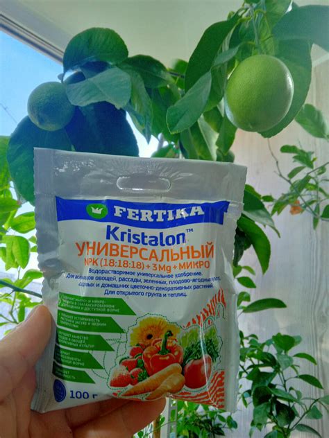Секреты подкормки и удобрения
