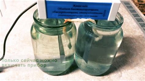 Секреты приготовления живой воды
