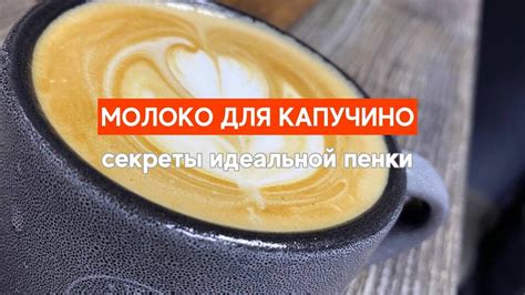 Секреты приготовления идеального холодного капучино