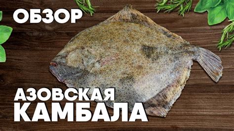 Секреты приготовления сочной камбалы калкан