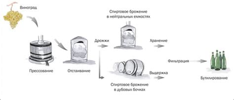 Секреты производства вина