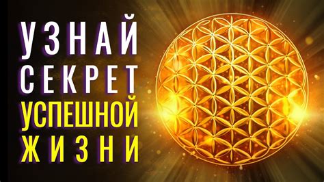 Секреты успешной жизни
