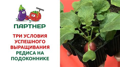 Секреты успешной посадки в собственном саду