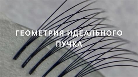 Секрет создания идеального домашнего пучка в несколько шагов