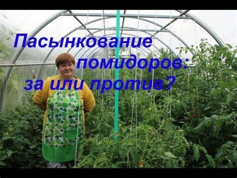 Секрет 6: Сбор урожая вовремя