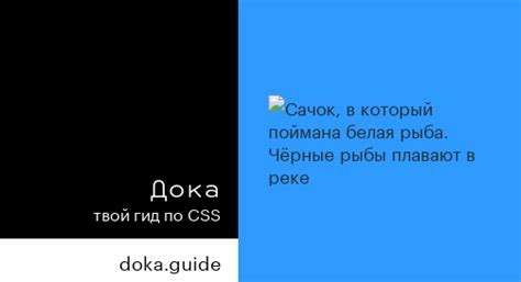 Селектор по атрибуту